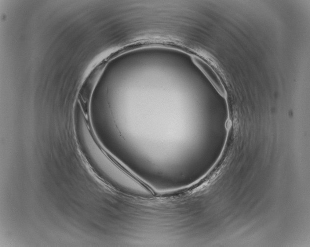 X0000081421030200701261548