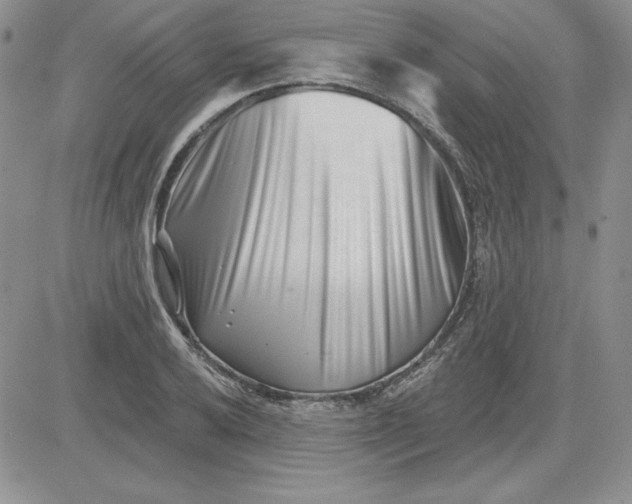 X0000081421032200701261548