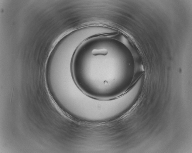 X0000081421034200701261549