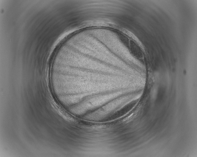 X0000081421035200701261549