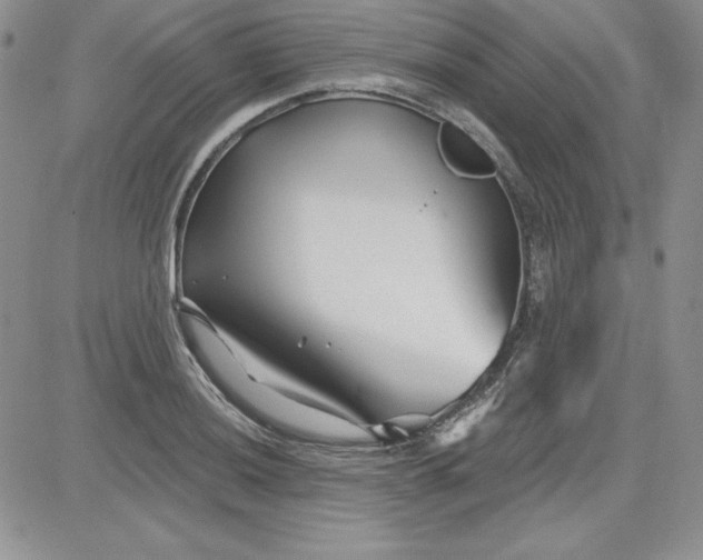 X0000081421036200701261549