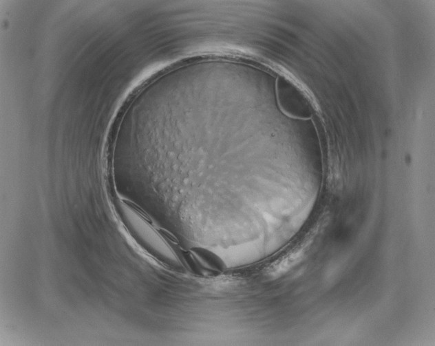 X0000081421037200701261549