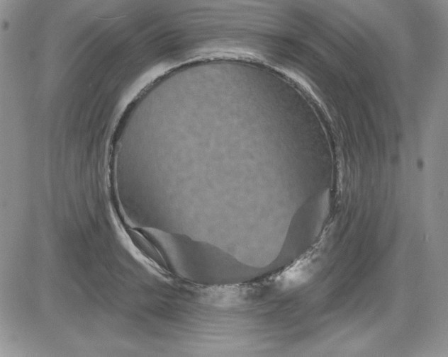 X0000081421038200701261549