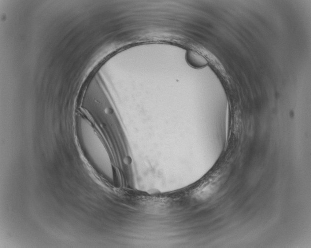 X0000081421039200701261549