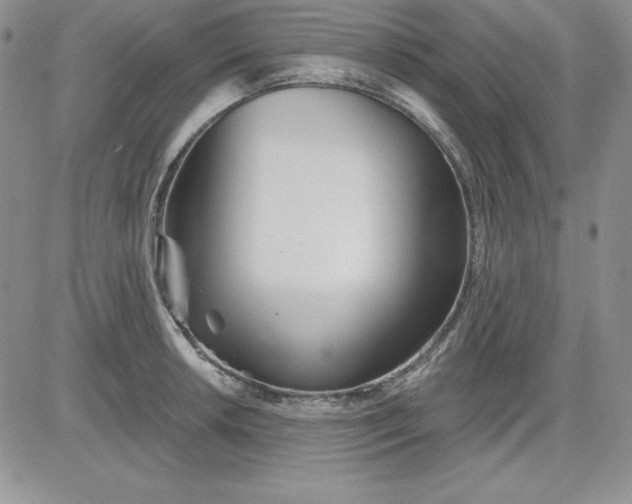 X0000081421042200701261549