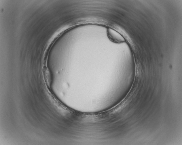 X0000081421043200701261549