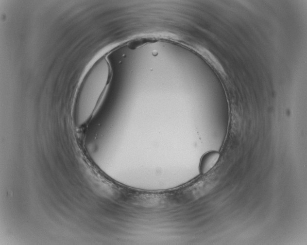 X0000081421044200701261549