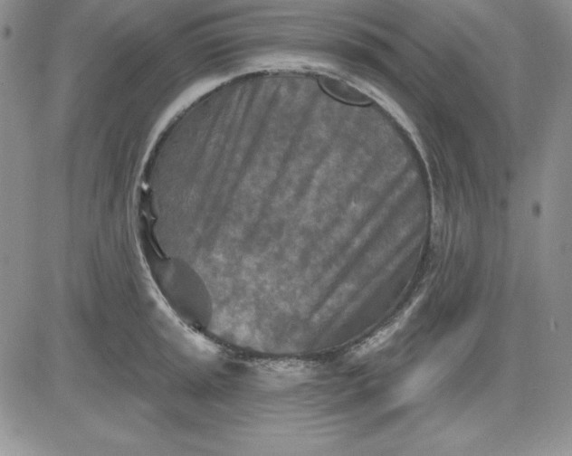 X0000081421045200701261549