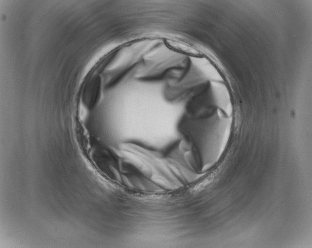 X0000081421048200701261549