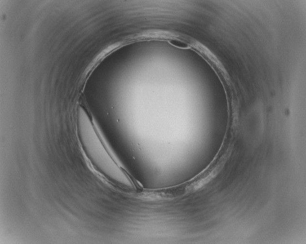 X0000081421049200701261549