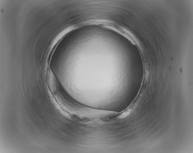 X0000081421050200701261549