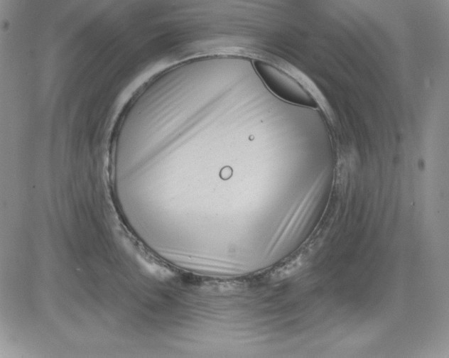 X0000081421051200701261549