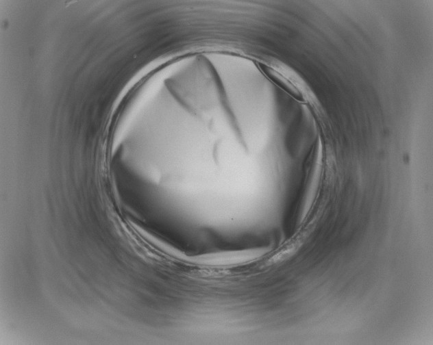 X0000081421052200701261549