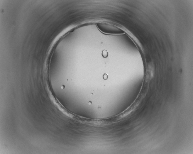 X0000081421053200701261549