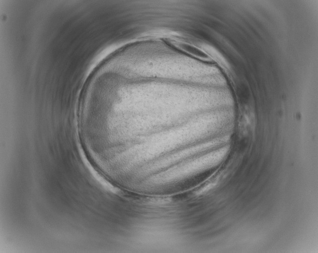 X0000081421055200701261549