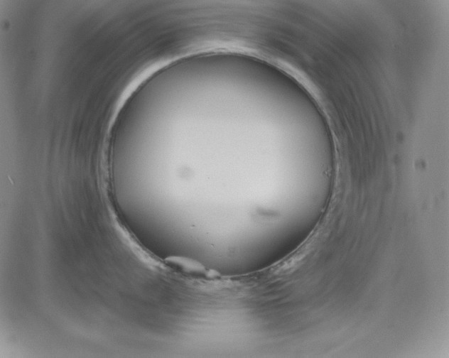 X0000081421056200701261549