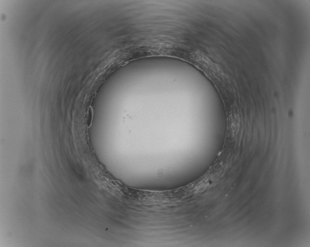 X0000081421057200701261548