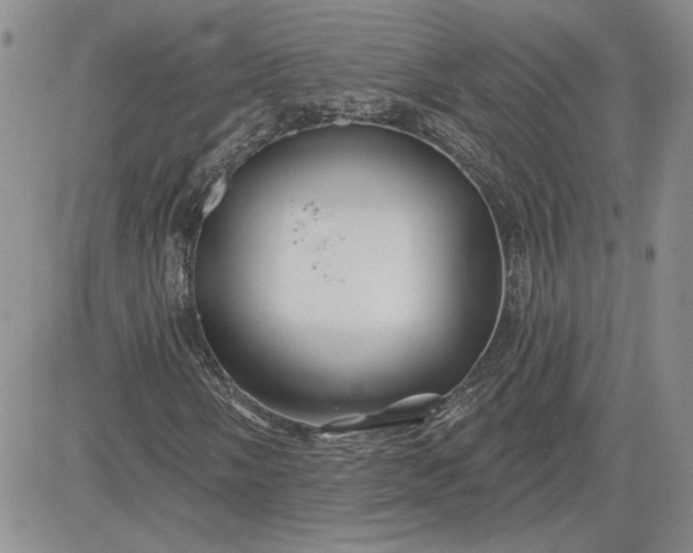 X0000081421058200701261548