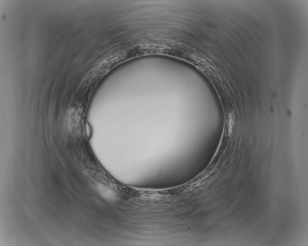 X0000081421059200701261548