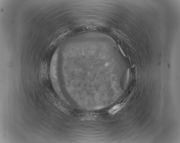 X0000081421060200701261548