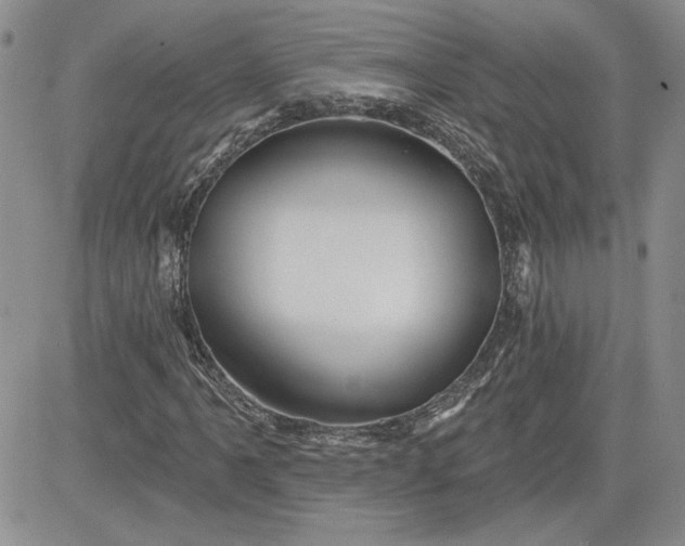 X0000081421061200701261548