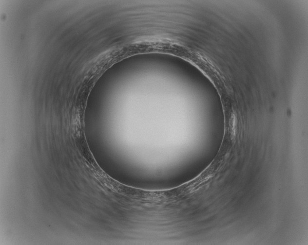 X0000081421062200701261548