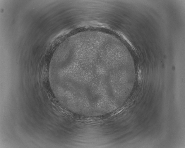 X0000081421063200701261548