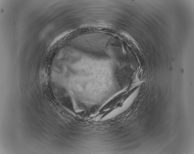 X0000081421064200701261548