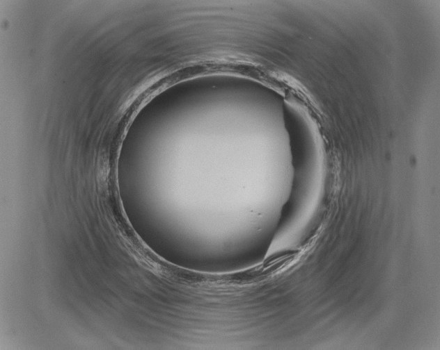 X0000081421065200701261548