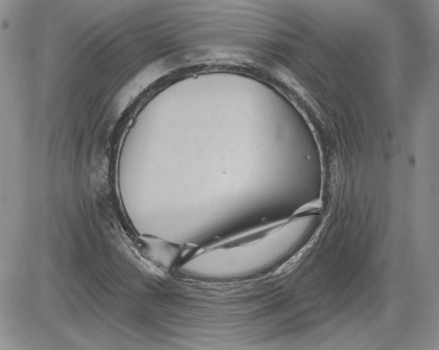 X0000081421066200701261548