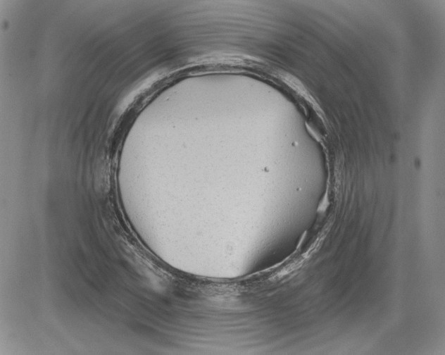 X0000081421067200701261548