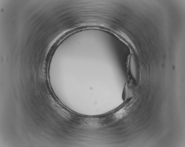 X0000081421068200701261548