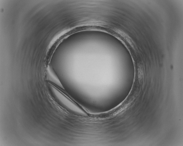 X0000081421069200701261548