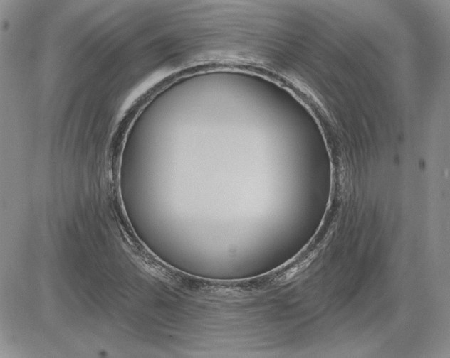 X0000081421070200701261548