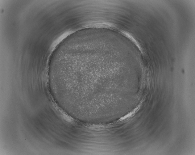 X0000081421071200701261548