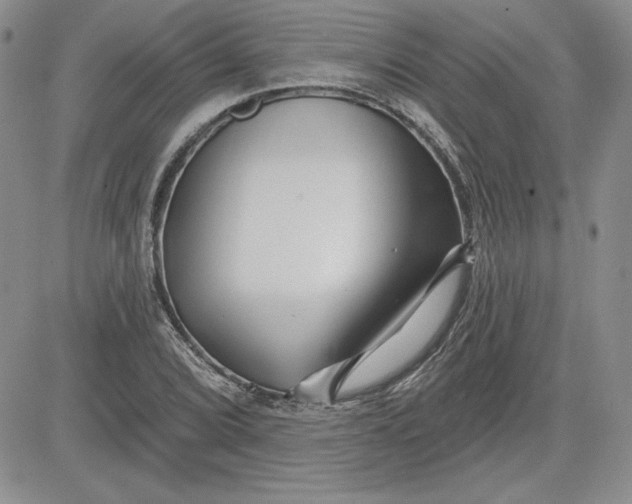 X0000081421072200701261548