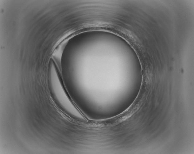 X0000081421073200701261548