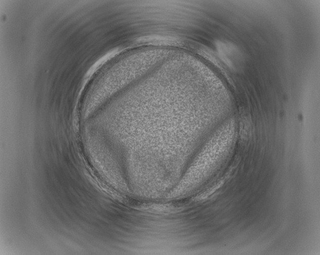 X0000081421074200701261548