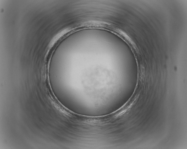 X0000081421075200701261548