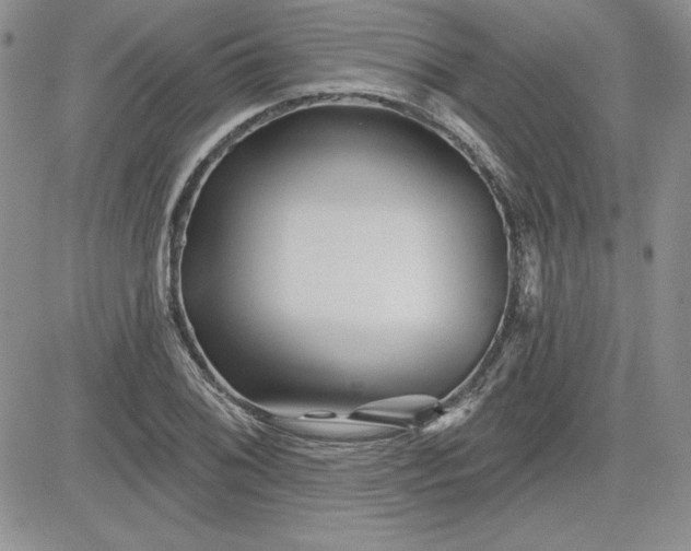 X0000081421076200701261548