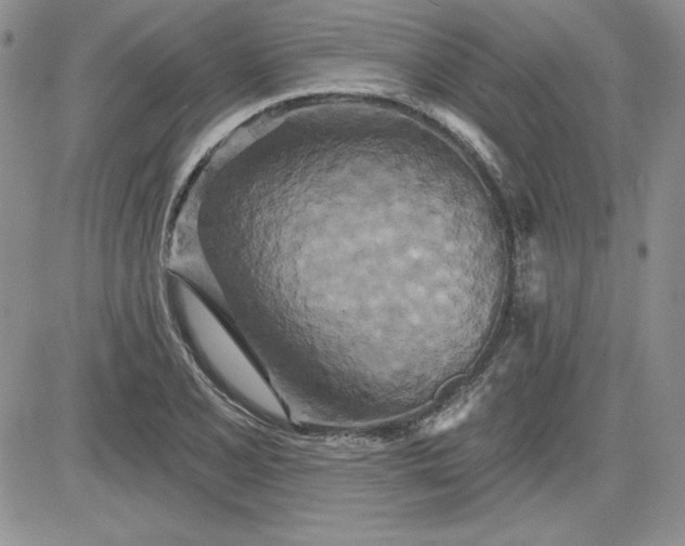 X0000081421077200701261548