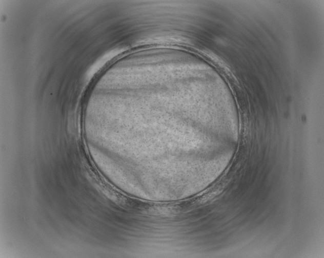 X0000081421078200701261548