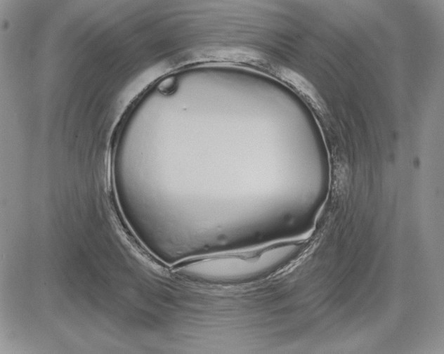 X0000081421079200701261548