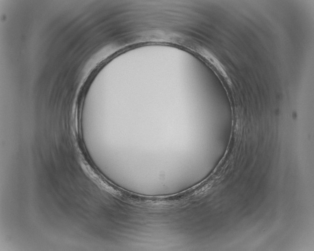 X0000081421080200701261548