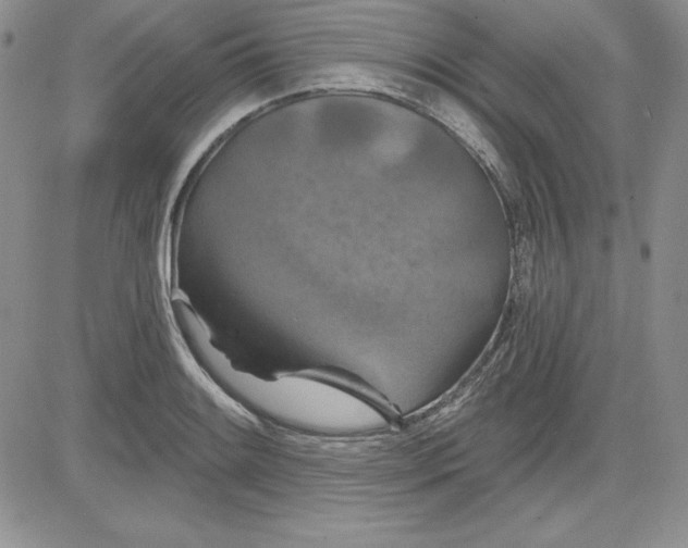 X0000081421084200701261548