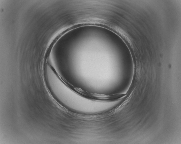 X0000081421085200701261548