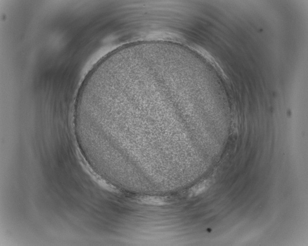 X0000081421086200701261548