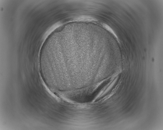 X0000081421087200701261548