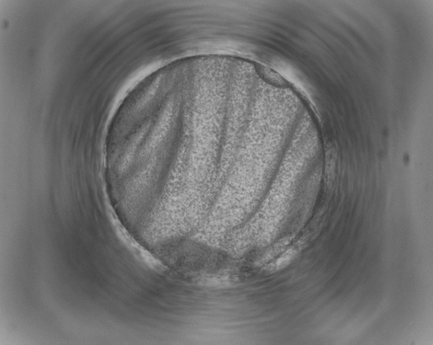 X0000081421088200701261548