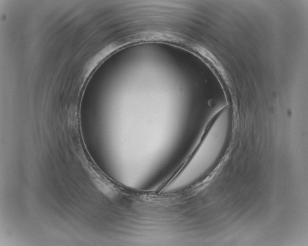 X0000081421089200701261548